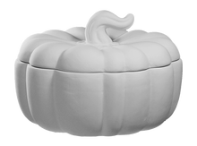 Load image into Gallery viewer, Fall Ceramic Pumpkin Painting Take Home Kits