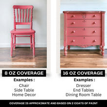 Load image into Gallery viewer, Daydream Apothecary Clay and Chalk Paint PINK HIBISCUS