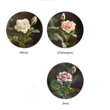 Load image into Gallery viewer, Rolled Edge American Rose Stem 18" Tall