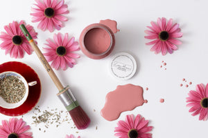 Fusion Mineral Paint Enchanted Echinacea