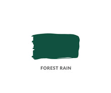 Load image into Gallery viewer, Daydream Apothecary Clay and Chalk Paint Daydream Apothecary Clay and Chalk Artisan Paint Chloe Kempster Forest Rain If there’s one color to fall hard for this year it’s this green!