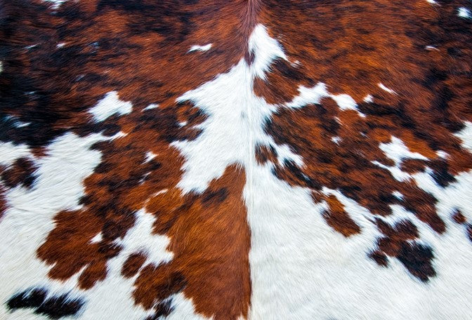 Decoupage Paper Cowhide by Roycycled featuring an image of a brown and white spotted cowhide