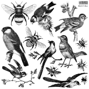 Birds and Bees Stamp Iron Orchid Designs New Release