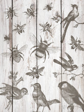 Load image into Gallery viewer, Birds and Bees Stamp Iron Orchid Designs New Release