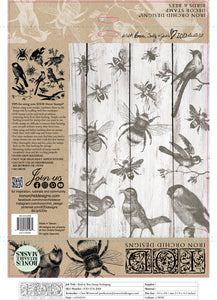 Birds and Bees Stamp Iron Orchid Designs New Release