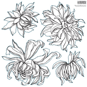  Iron Orchid Designs Stamp Chrysanthemum