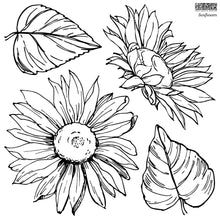 Load image into Gallery viewer,  Iron Orchid Designs Stamps Sunflower 
