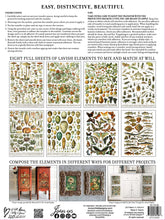Load image into Gallery viewer, Transfer Millot&#39;s Pages By Iron Orchid Designs New Release