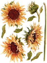 Load image into Gallery viewer,  Iron Orchid Designs Transfer Set Painterly Floral Decor 