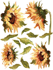  Iron Orchid Designs Transfer Set Painterly Floral Decor 