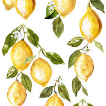 Load image into Gallery viewer,  Iron Orchid Designs Lemon Transfer Drops 