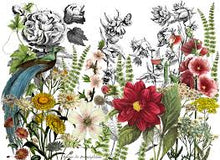 Load image into Gallery viewer, Iron Orchid Designs Transfer Midnight Garden 