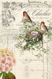Bird Ephemera featuring songbirds, nests and hydrangeas. Roycycled Decoupage Paper is an easy way to add special touches to your craft projects.