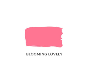Introducing…. Blooming Lovely🌿 Daydream Apothecary Clay and Chalk Artisan Paint: Blooming Lovely by Chloe Kempster. A crisp watermelon pink