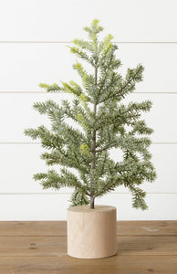 Frosted Pine In Wooden Base, 18 Inches (PC)