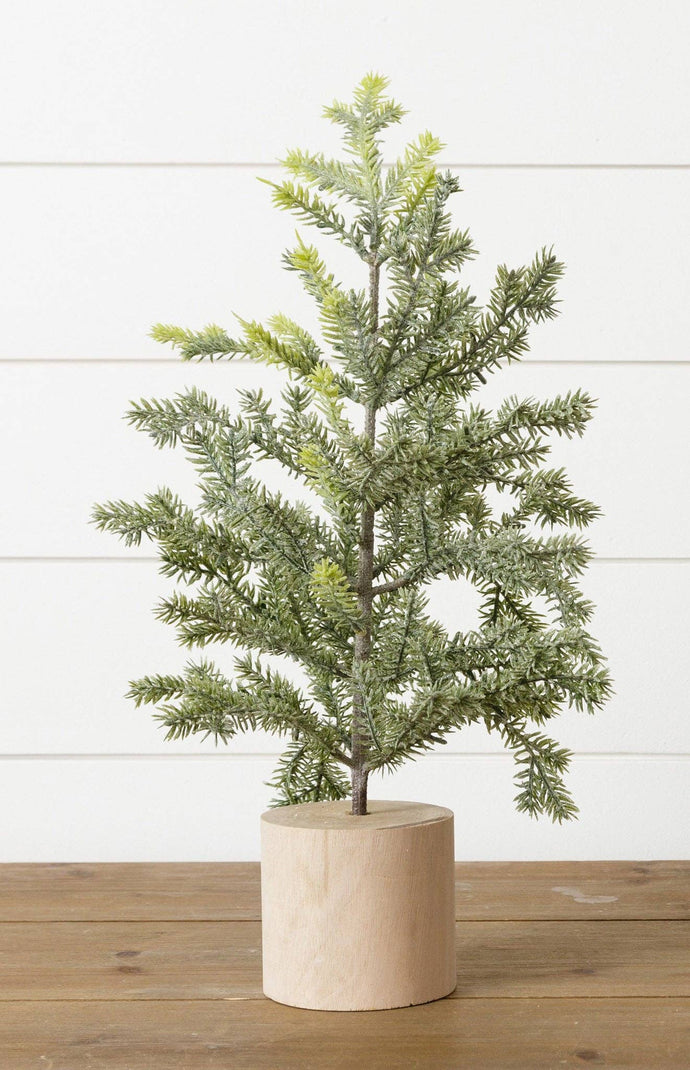 Frosted Pine In Wooden Base, 18 Inches (PC)