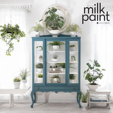 Load image into Gallery viewer, Fusion Milk Paint in Terrarium. A Milk Paint finish is incredibly unique and versatile – no need to worry about primers as it can be used on any porous surface, binding directly to ensure no chipping or peeling in the future!