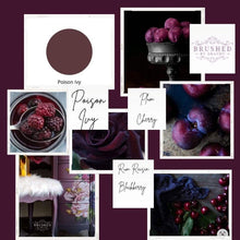 Load image into Gallery viewer, Daydream Apothecary Clay and Chalk Paint Artisan Brushed By Brandy Poison Ivy 