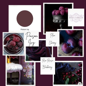 Daydream Apothecary Clay and Chalk Paint Artisan Brushed By Brandy Poison Ivy 