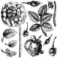 Load image into Gallery viewer, Iron Orchid Designs Stamp Lady Shallot Decor 