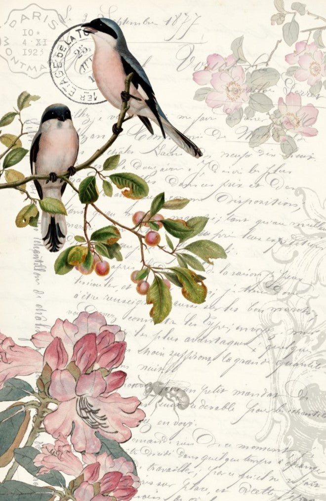 Decoupage Paper Spring Bird by Roycycled featuring vintage, colorful birds and botanicals.